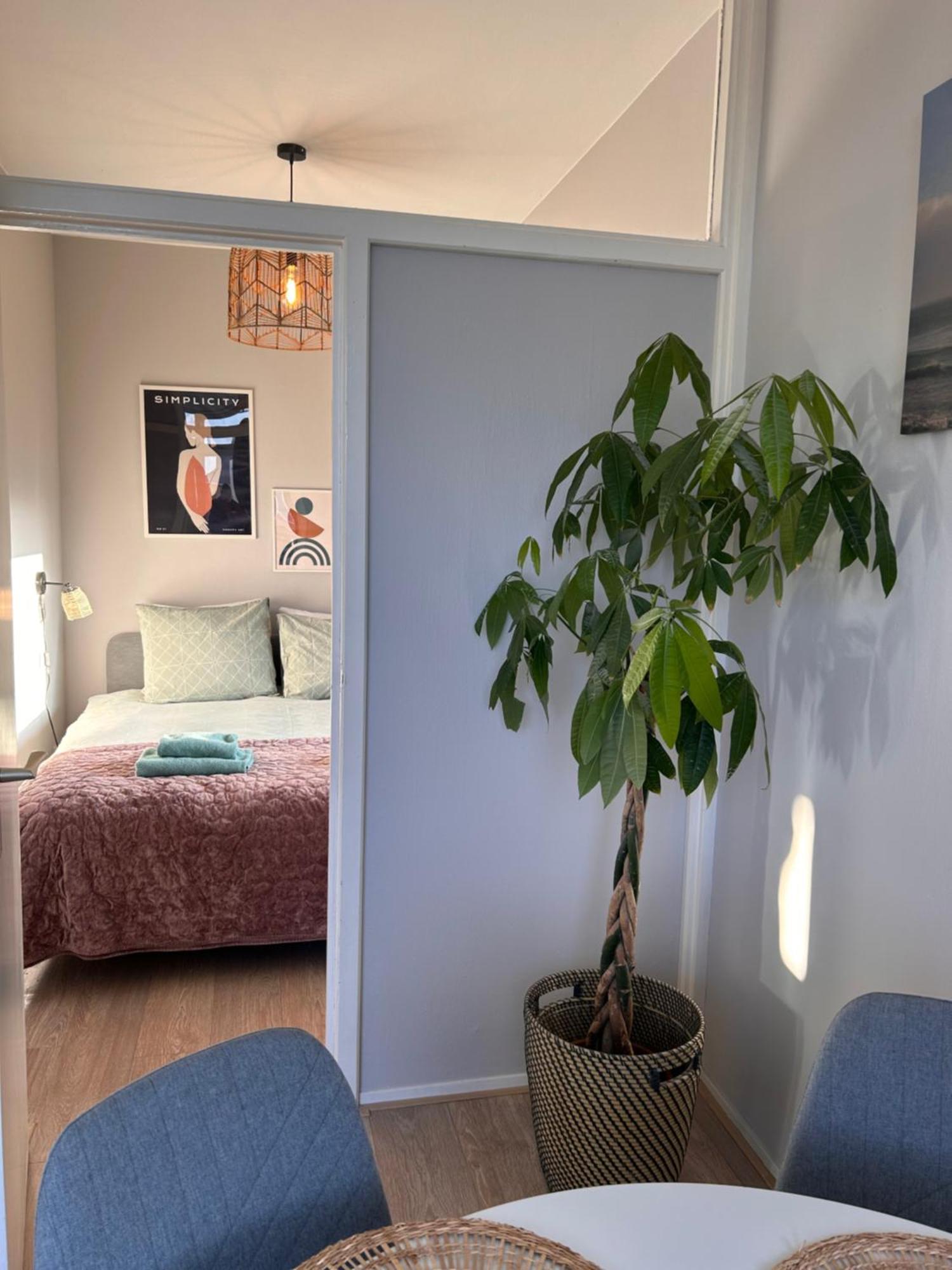 Amsterdam Beach Apartment 17, Incl Parking + Garden Зандвоорт Екстериор снимка